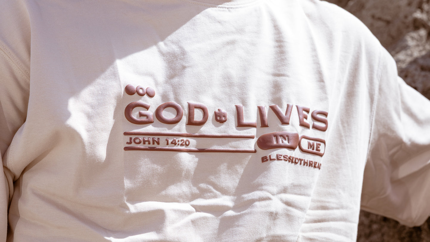 Beige Oversized Anniversary Faith Tee - John 14:20