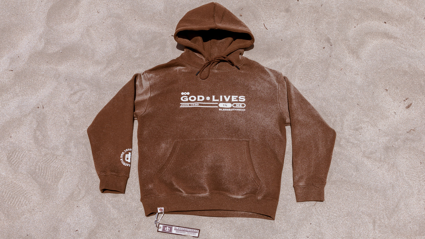 Brown Heavyweight Anniversary Hoodie - John 14:20