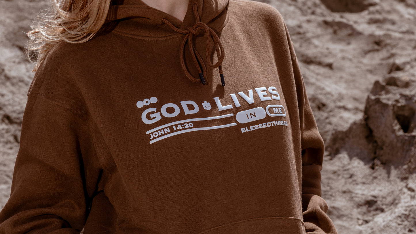 Brown Heavyweight Anniversary Hoodie - John 14:20