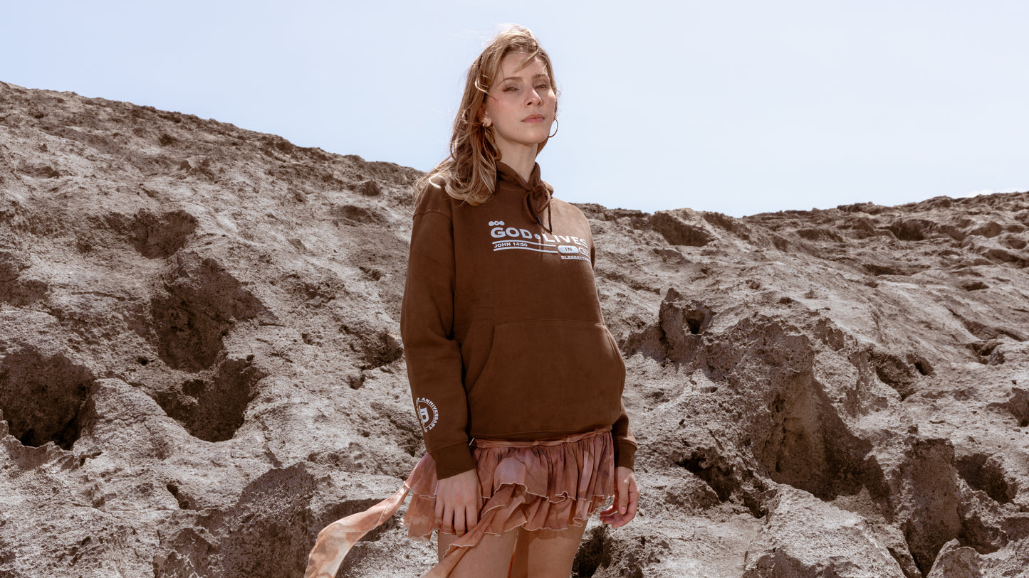 Brown Heavyweight Anniversary Hoodie - John 14:20